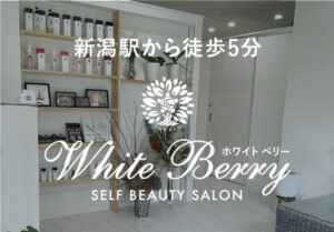 ホワイトベリーの料金